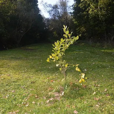 Il Giardino Secreto *