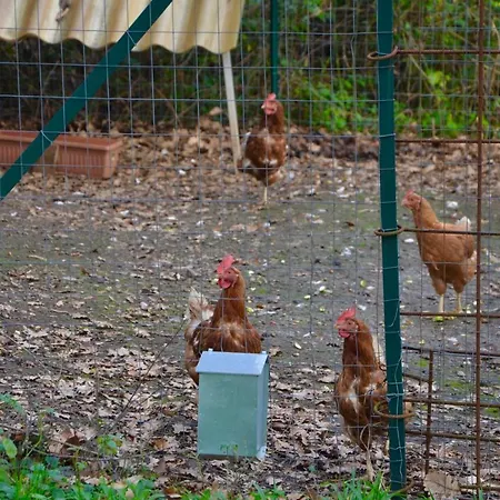 Il Giardino Secreto