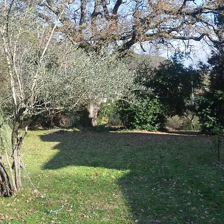 Il Giardino Secreto *