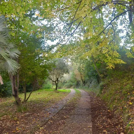 Il Giardino Secreto Manziana